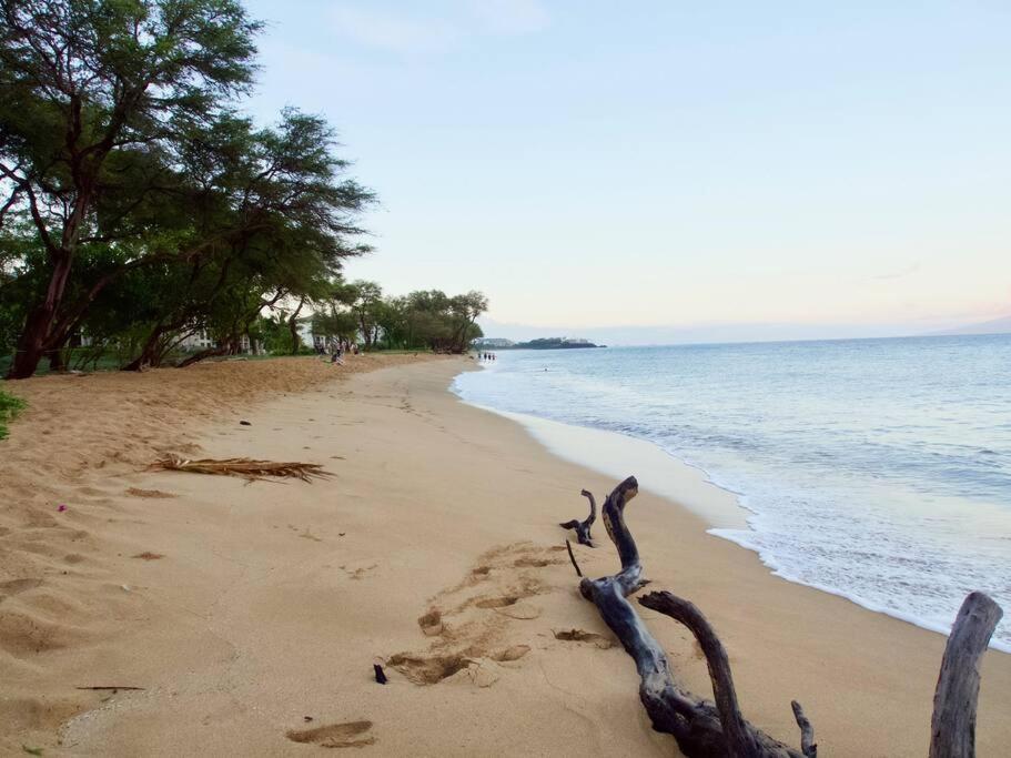 Ocean View One Bedroom At Honua Kai!! 拉海纳 外观 照片