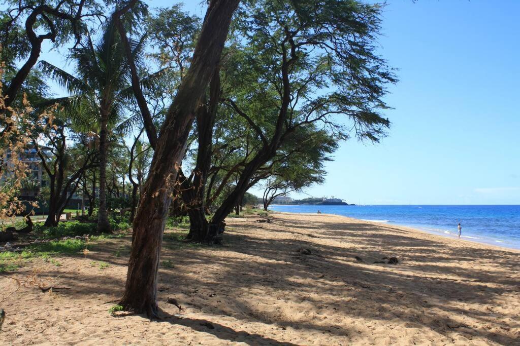Ocean View One Bedroom At Honua Kai!! 拉海纳 外观 照片